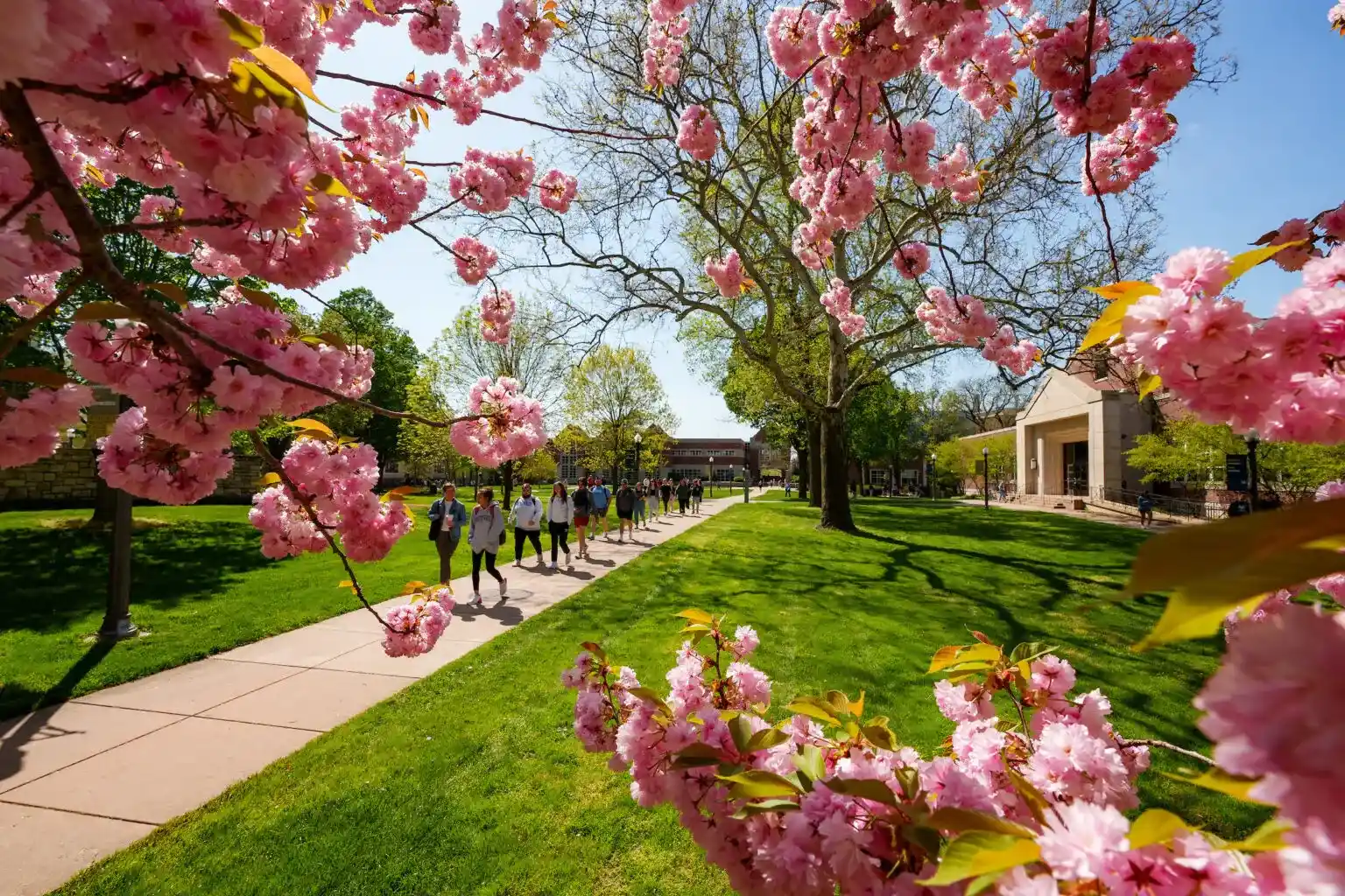 Students walk on campus quad in spring