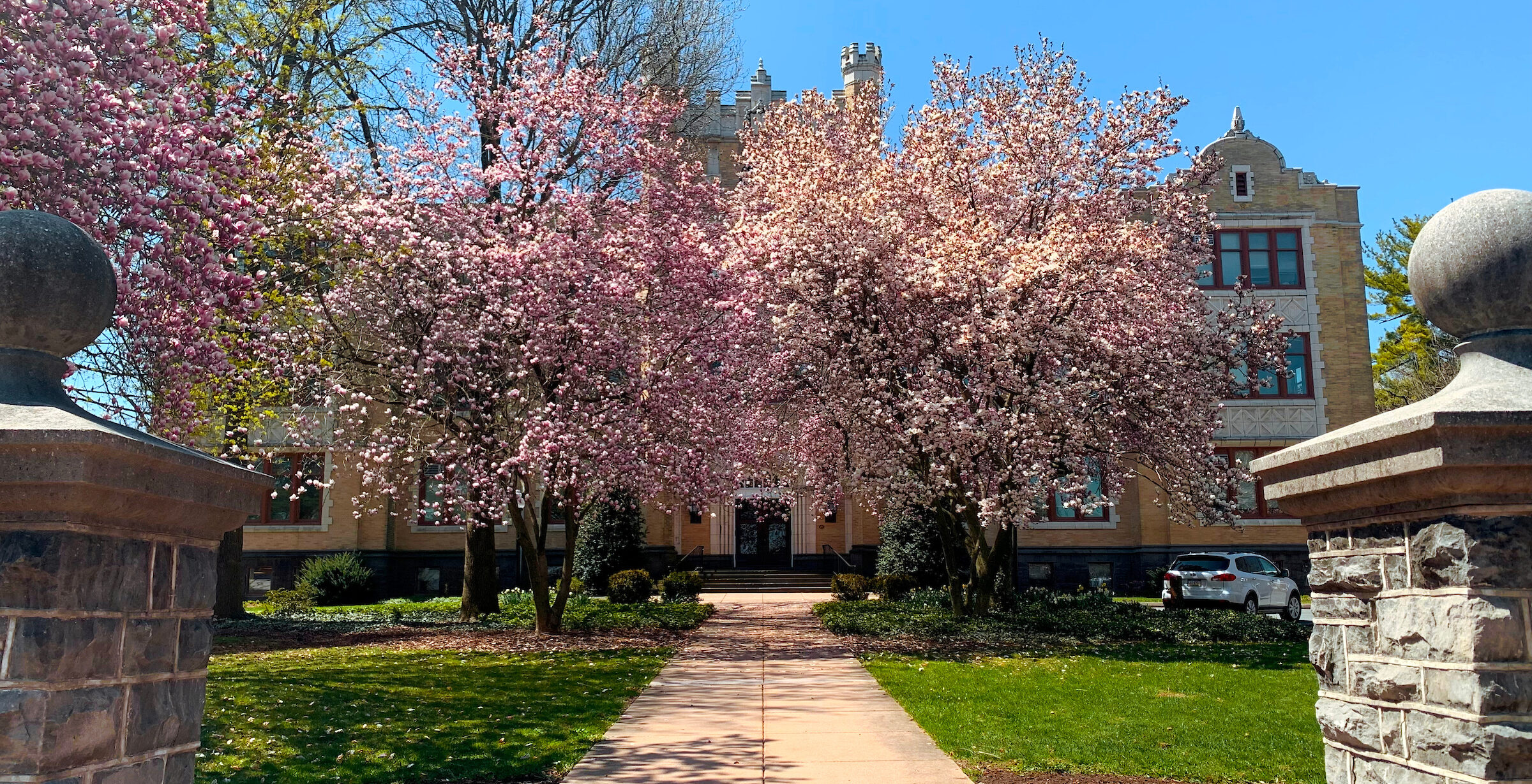 Blooming trees outside of humanities, administration building on LVC campus