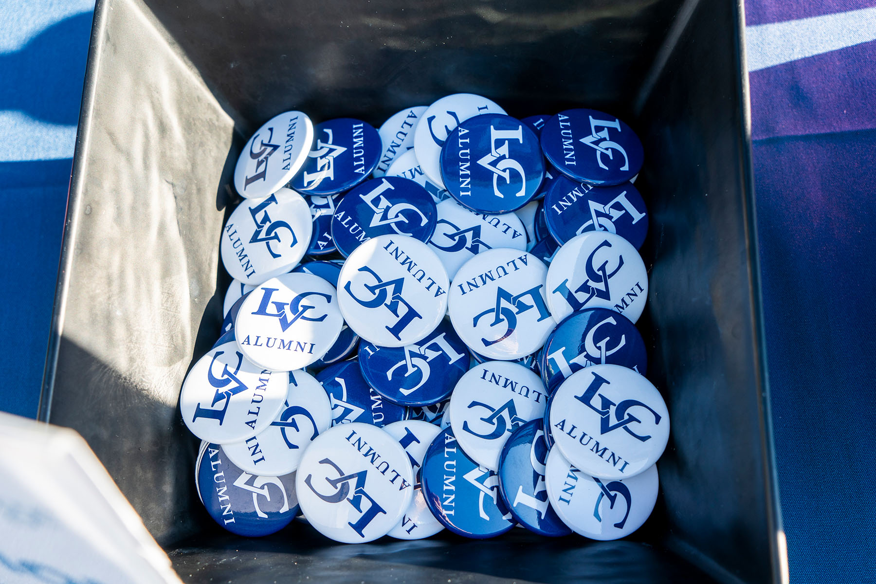 Pile of pins that read "LVC Alumni"