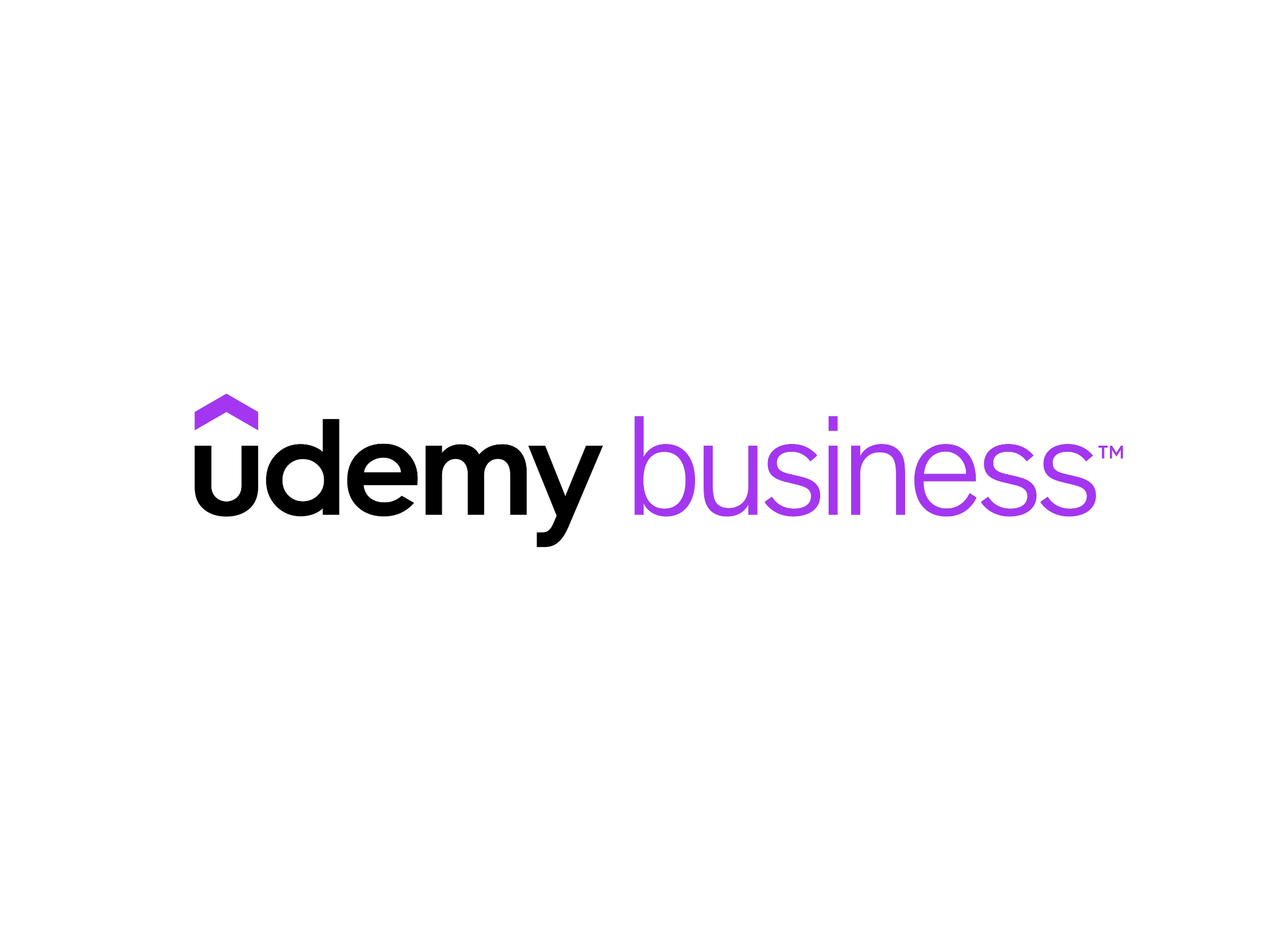 Udemy Business logo