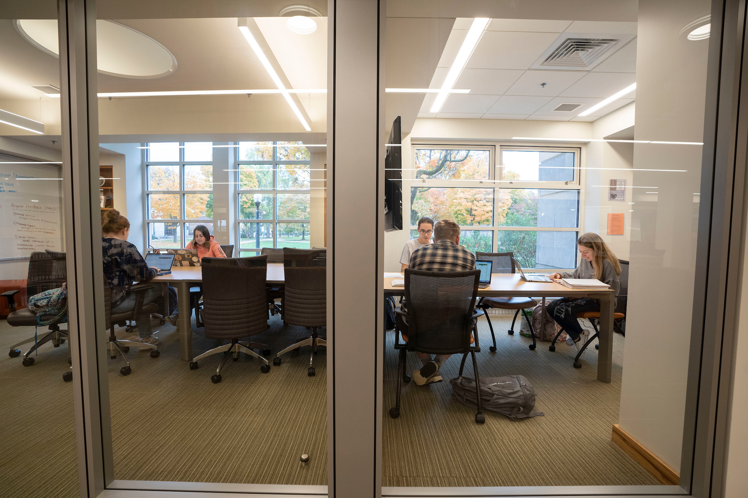 Students meet in library study rooms