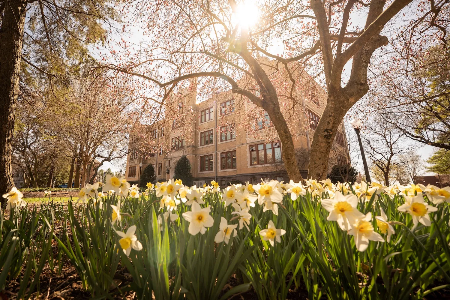 Humanities building exterior in spring