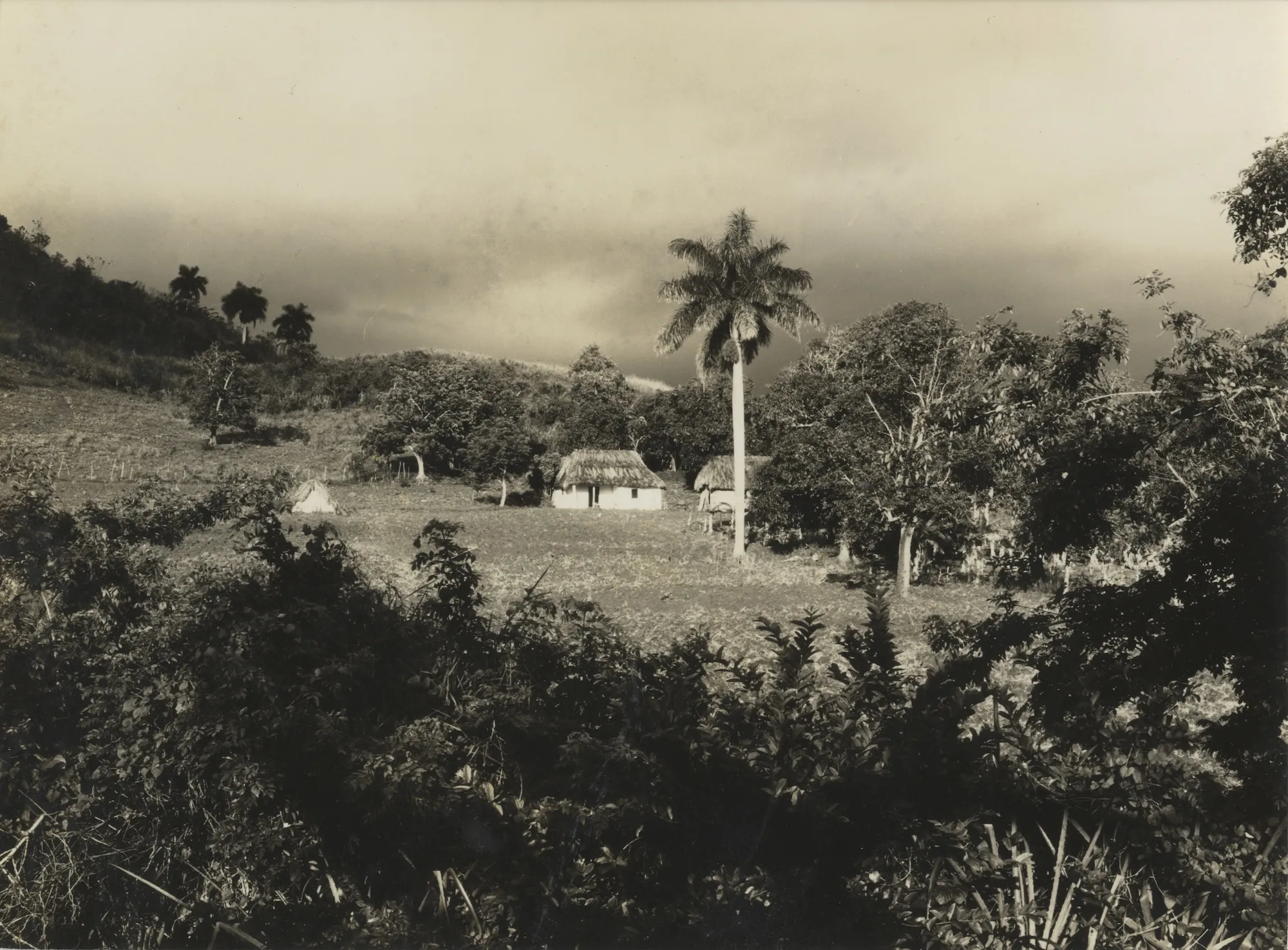 Walker Evans (American, 1903–1975) Bohio hut in landscape, gelatin silver print, 4 3/4 x 7 inches, framed size: 14 x 18 inches.