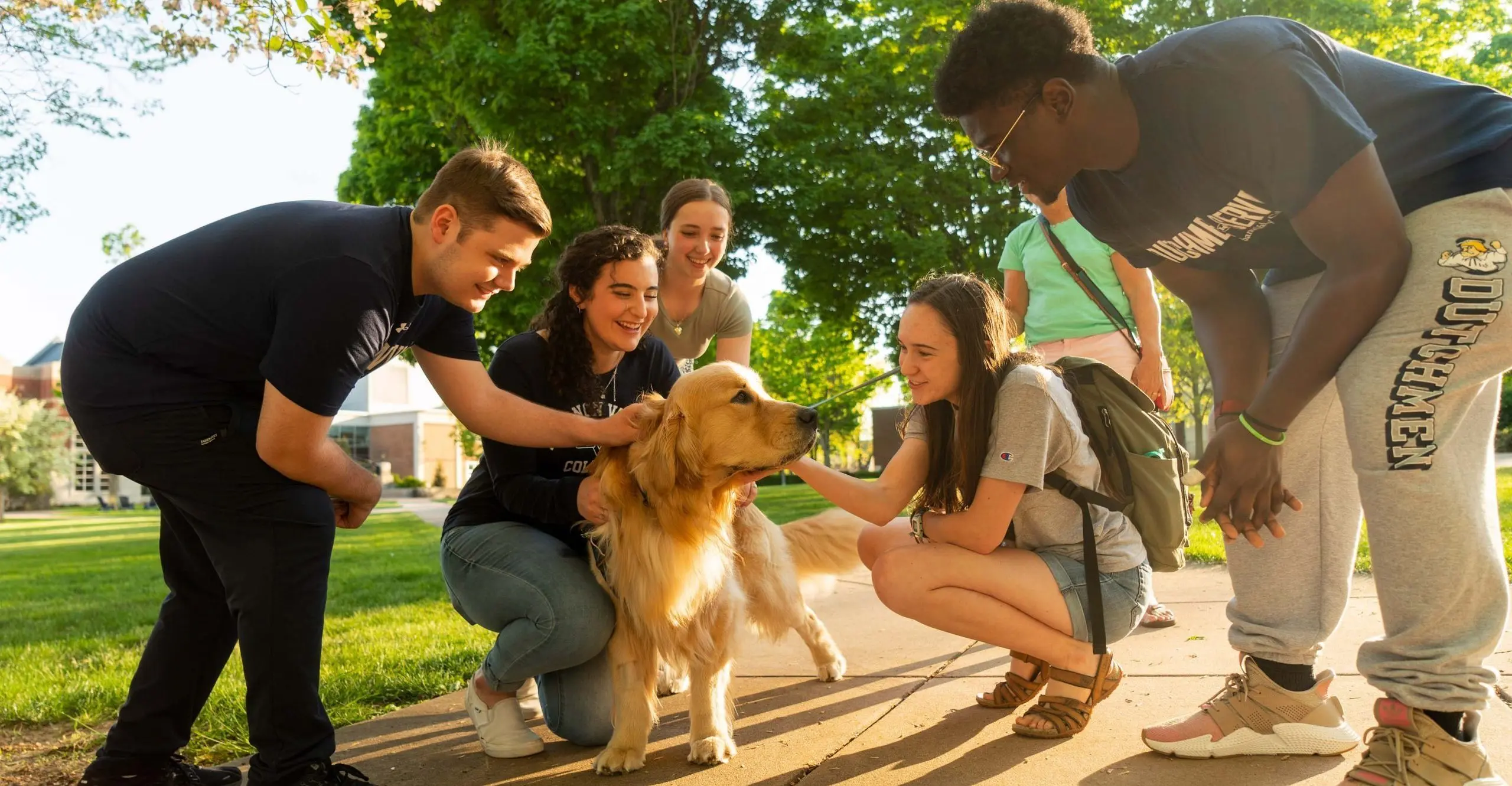 Students petting golden retriever on campus