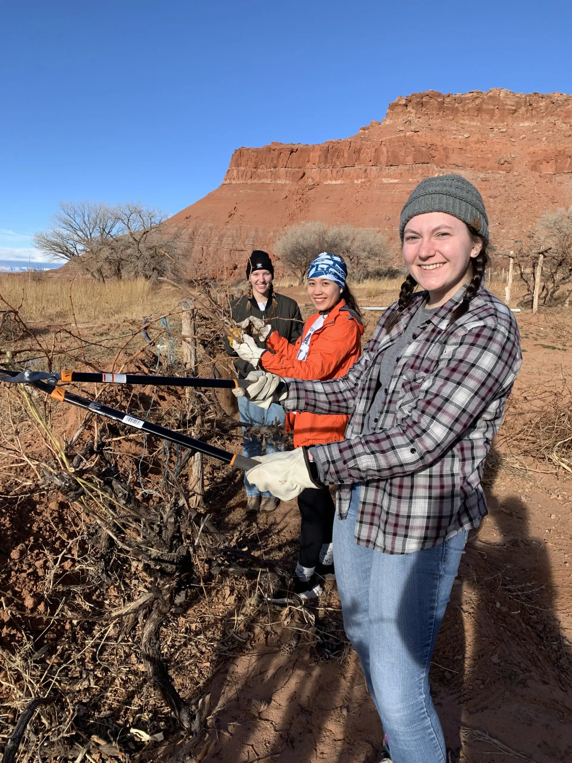 LVC students participate in service trip in Arizona