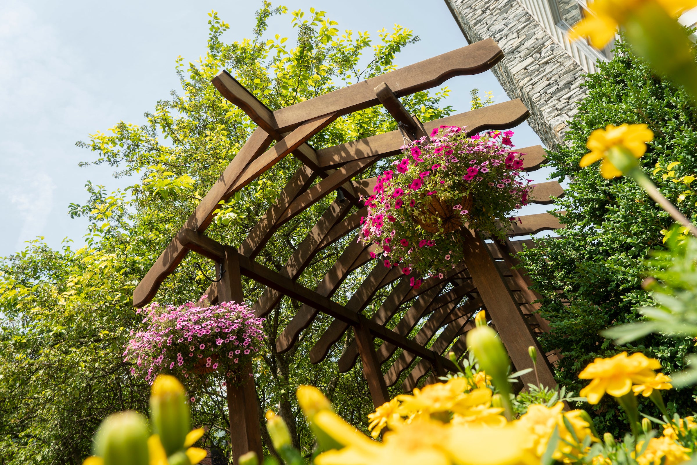 Pergola and flowers in summer on LVC campus