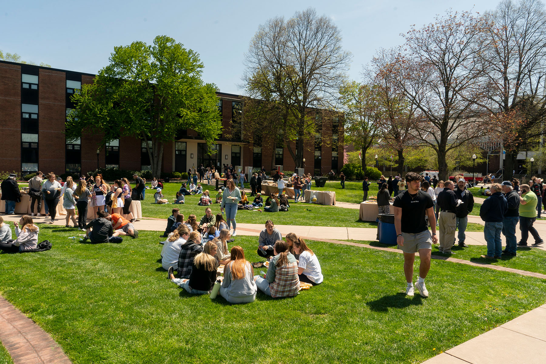 Groups of students sitting on campus lawn.