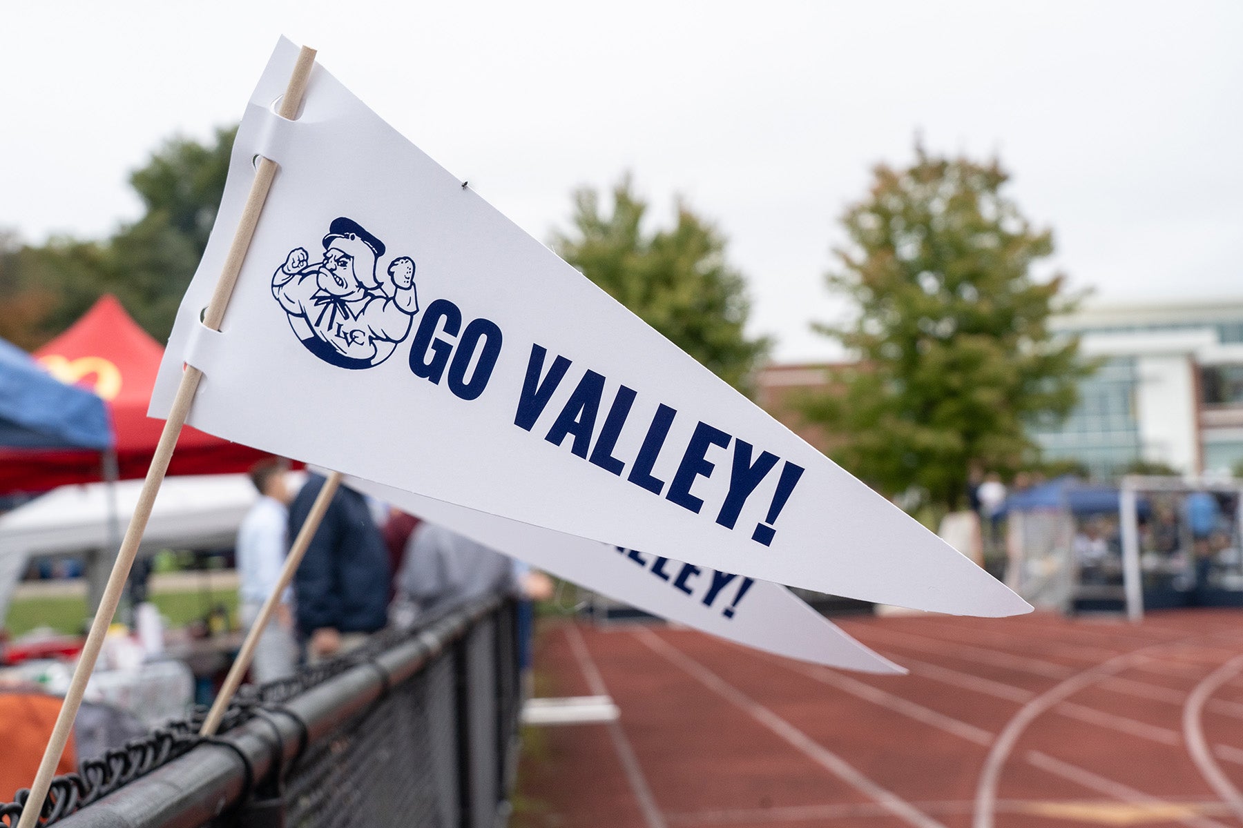 LVC sports pennant reading "Go Valley"