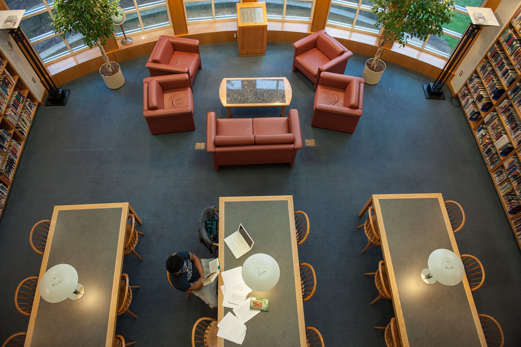 Interior shot of library study space