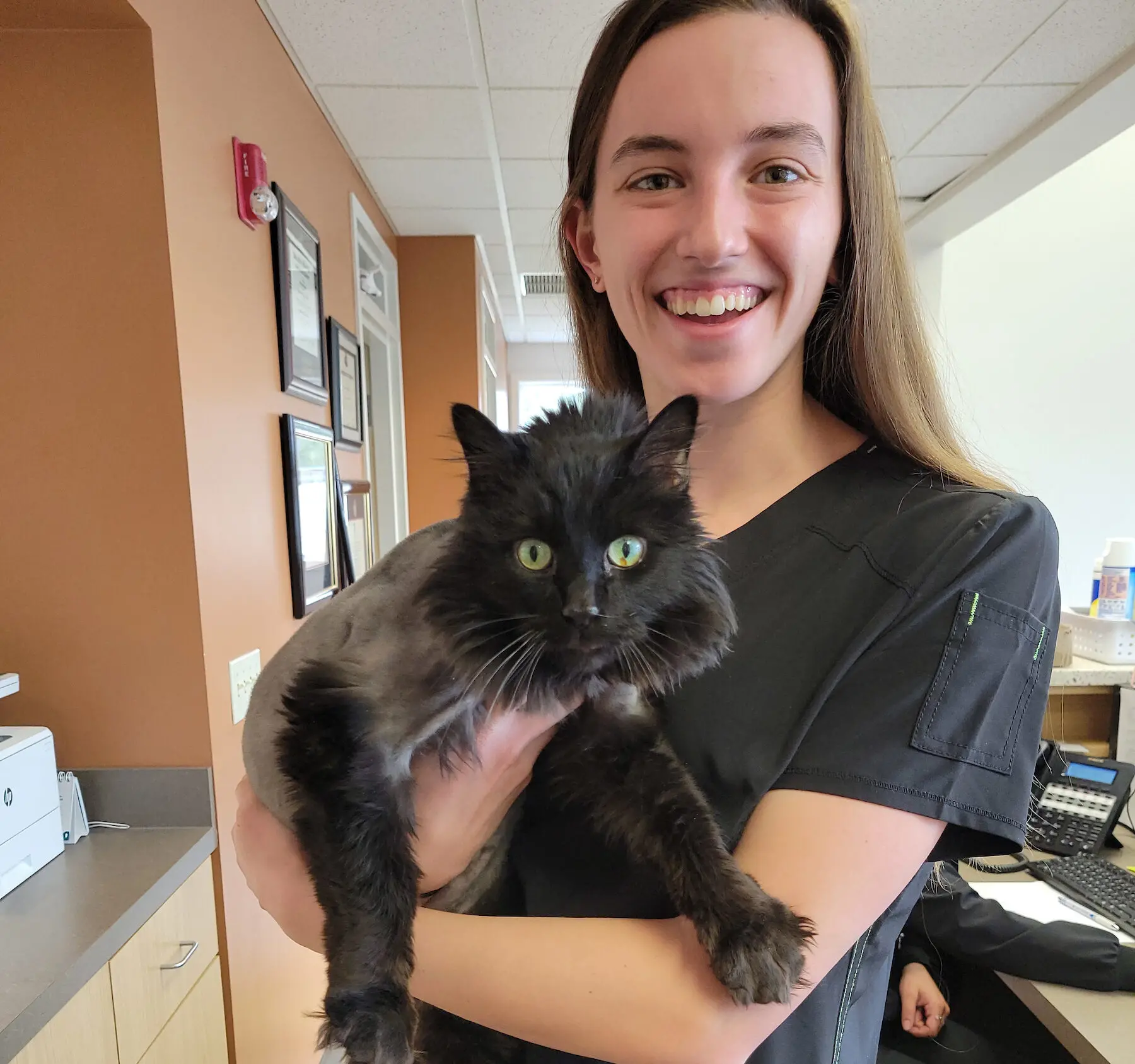 Woman holds cat at veterinary clinic
