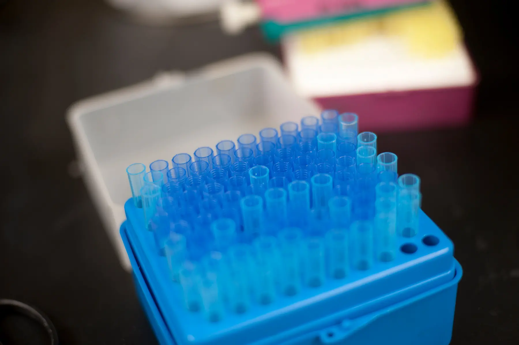 Pipettes in container