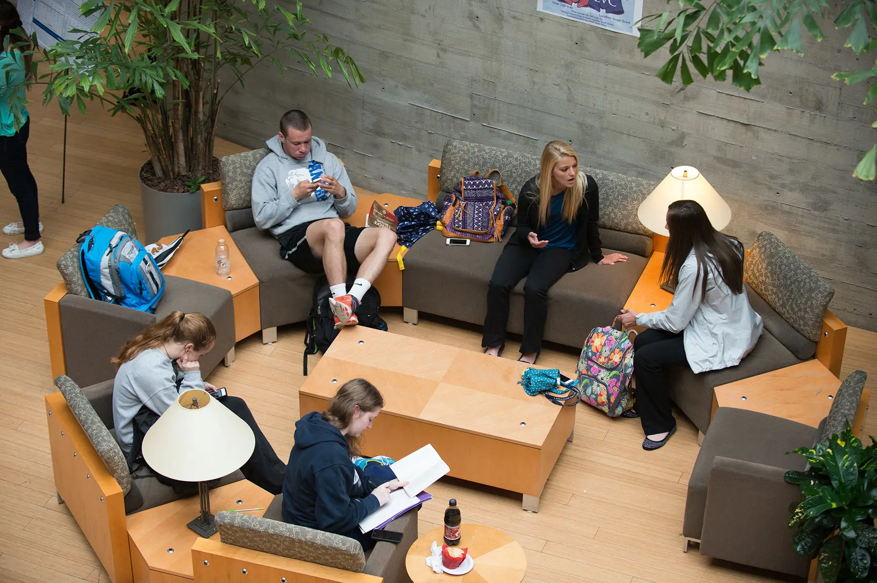 Psych students studying in lounge