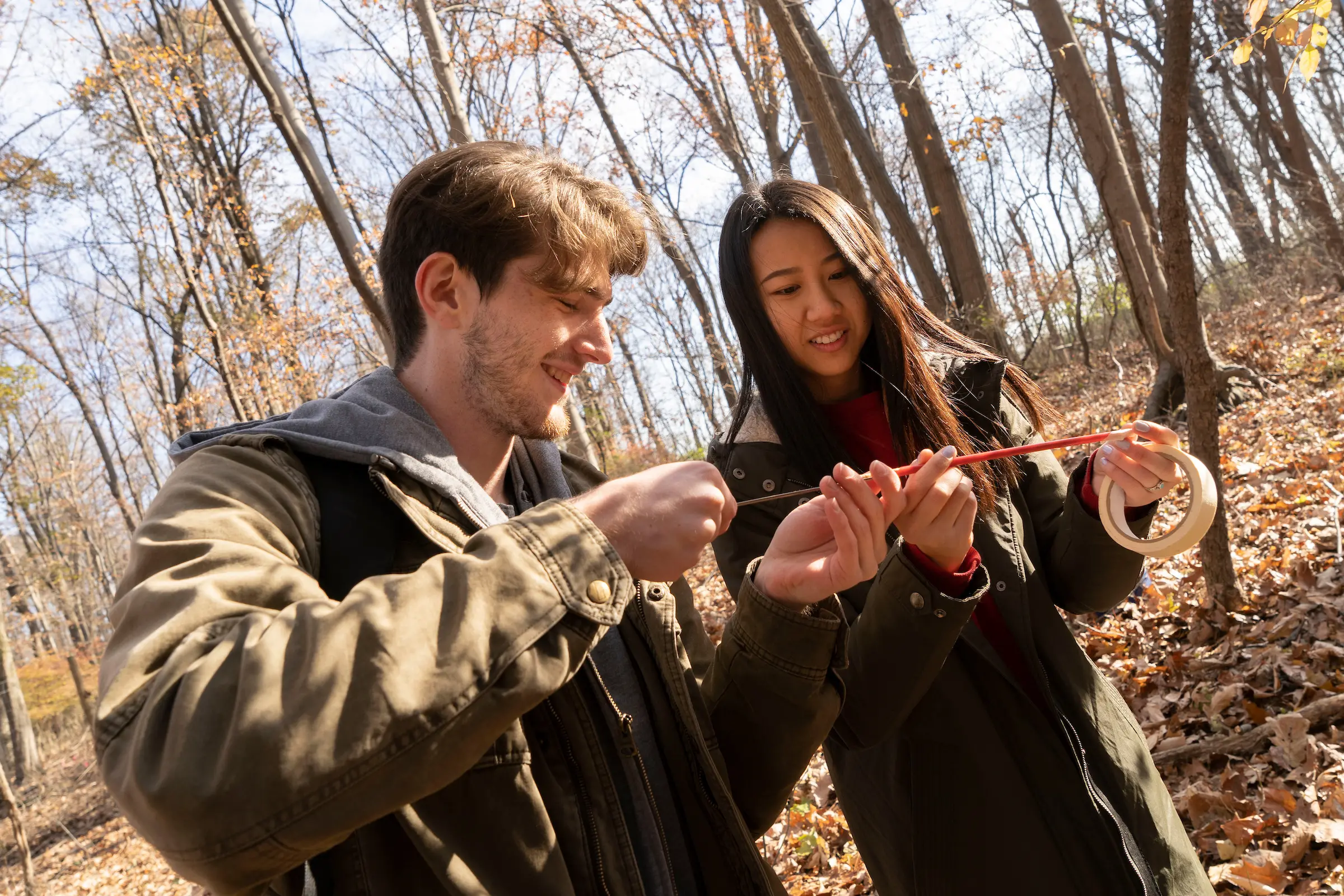 Environmental science students tree coring