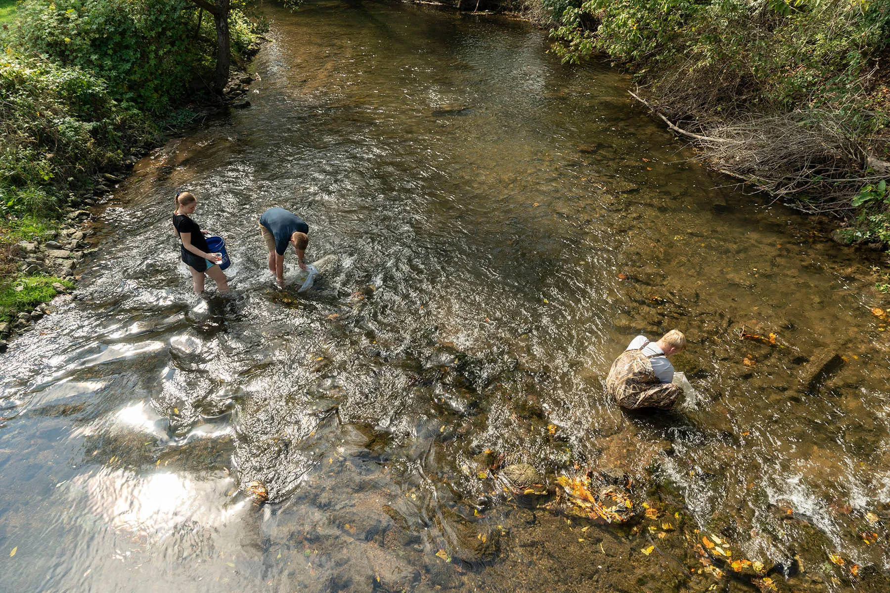 Students researching in a creek