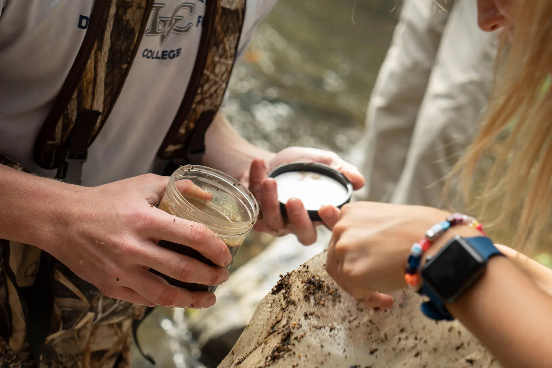 Students collecting specimens during field research