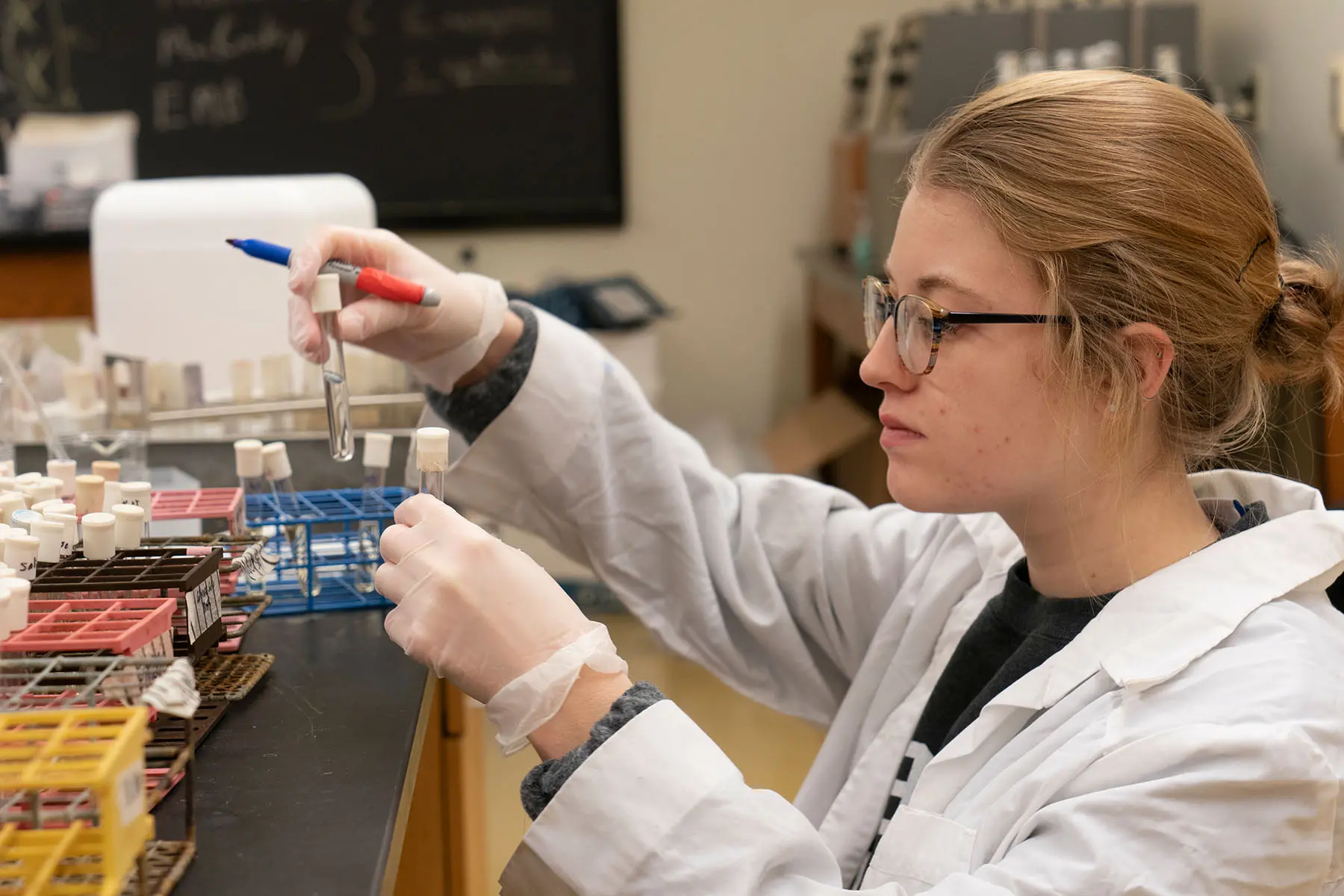 Student working in bio lab