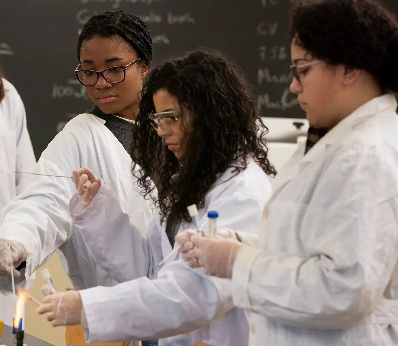 Students working in bio lab