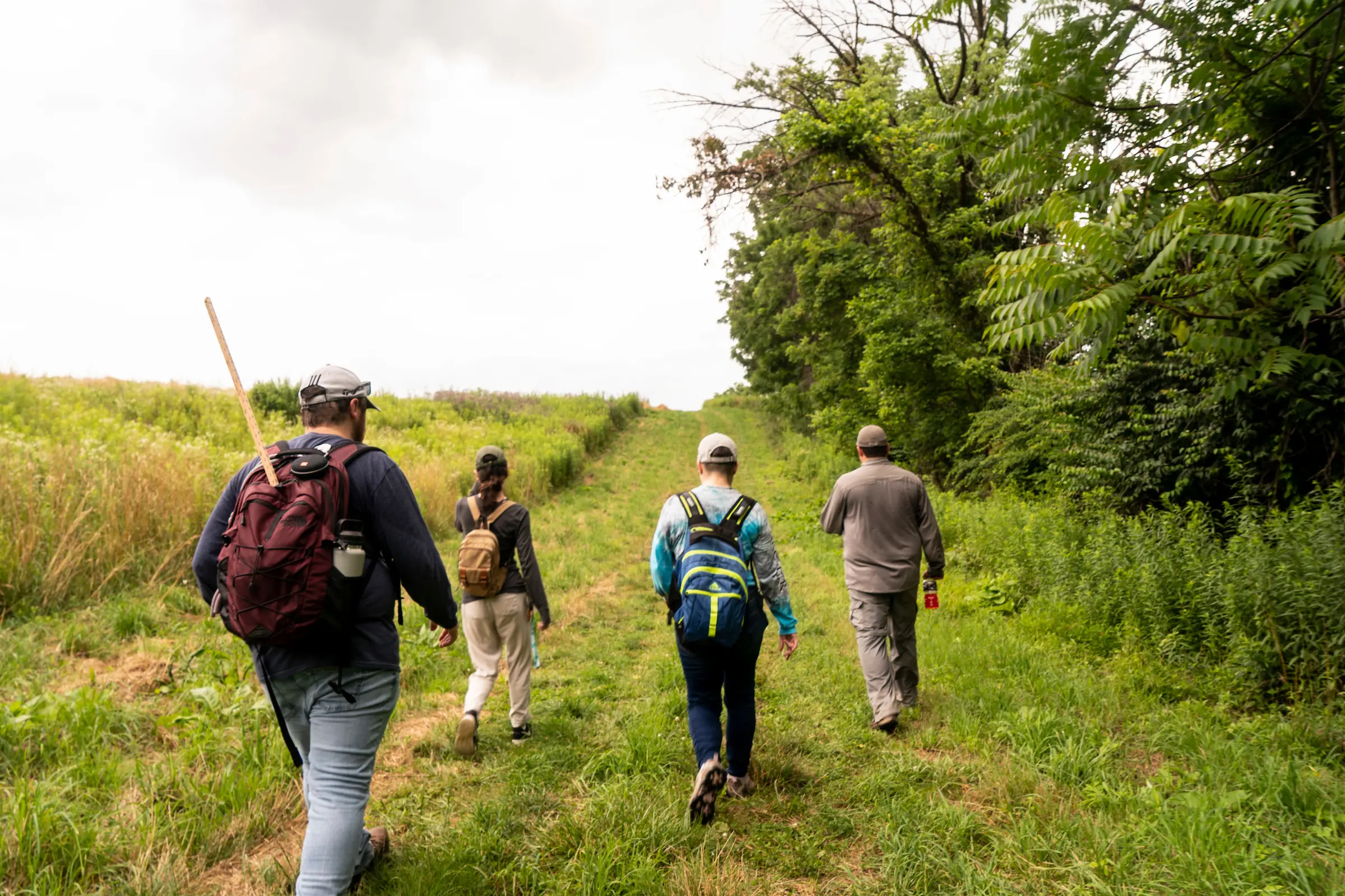 Dr. Douglas Becker and LVC students conduct research on spotted lanternfly