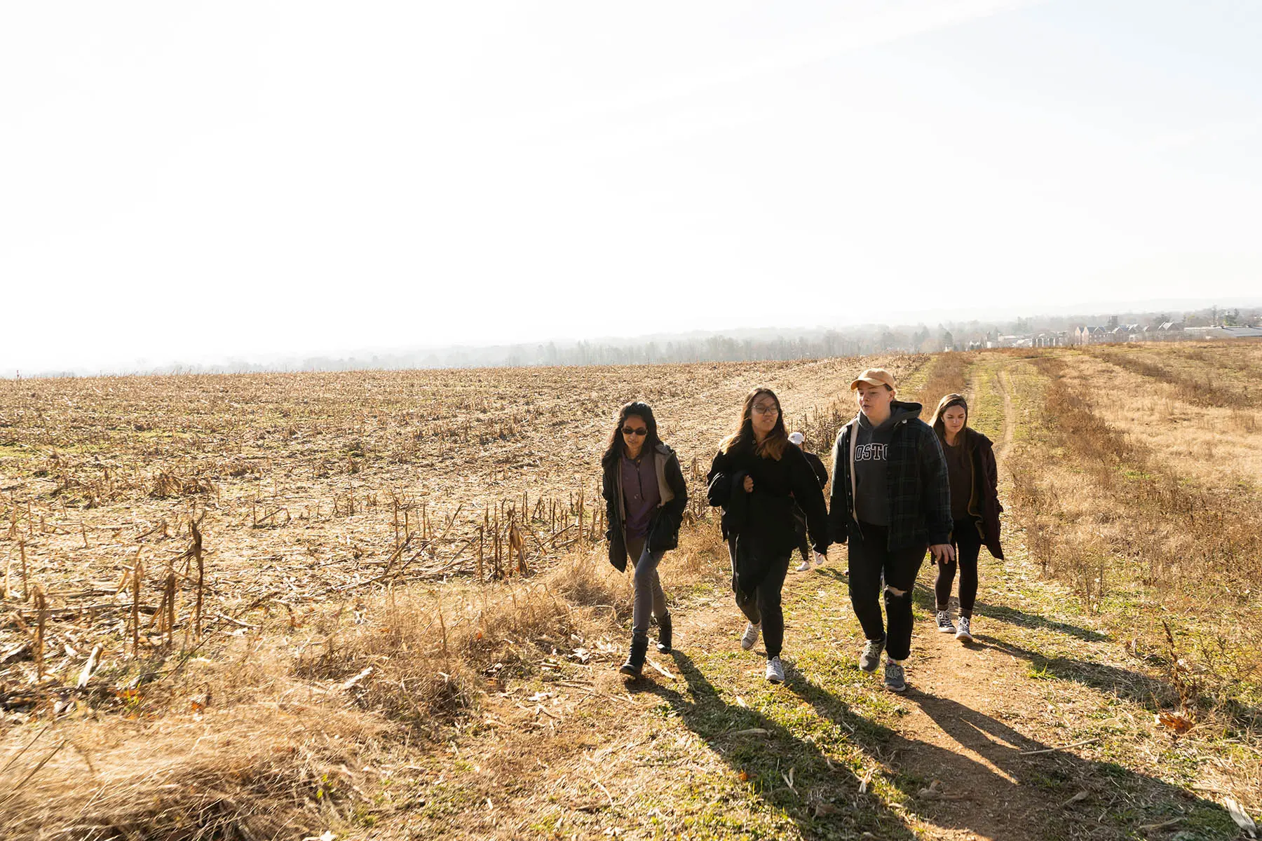 Students in field doing research