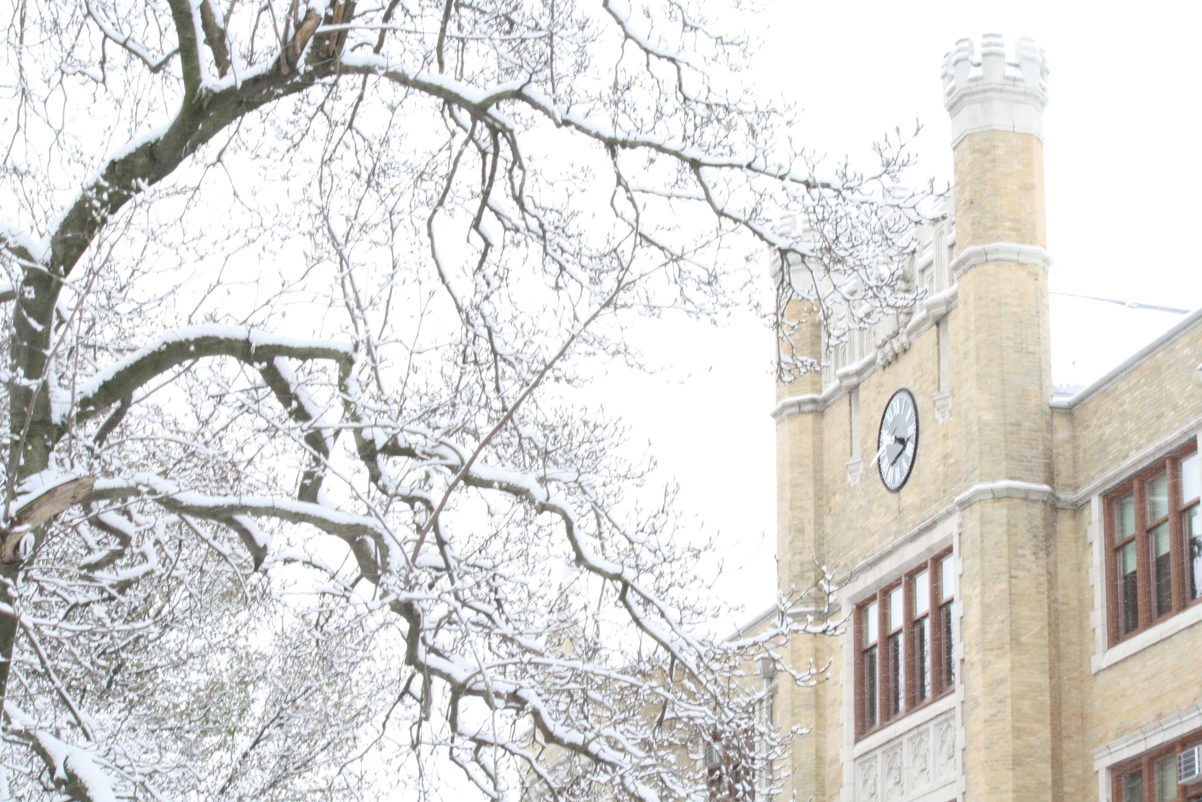 Humanities building in the winter with snow on branches