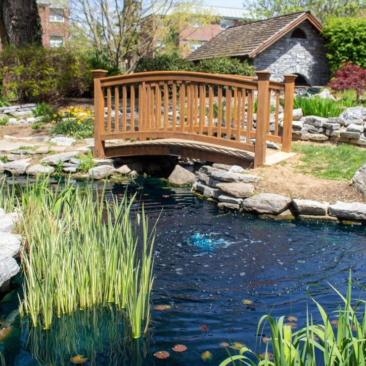 Small wooden bridge over water in LVC Peace Garden