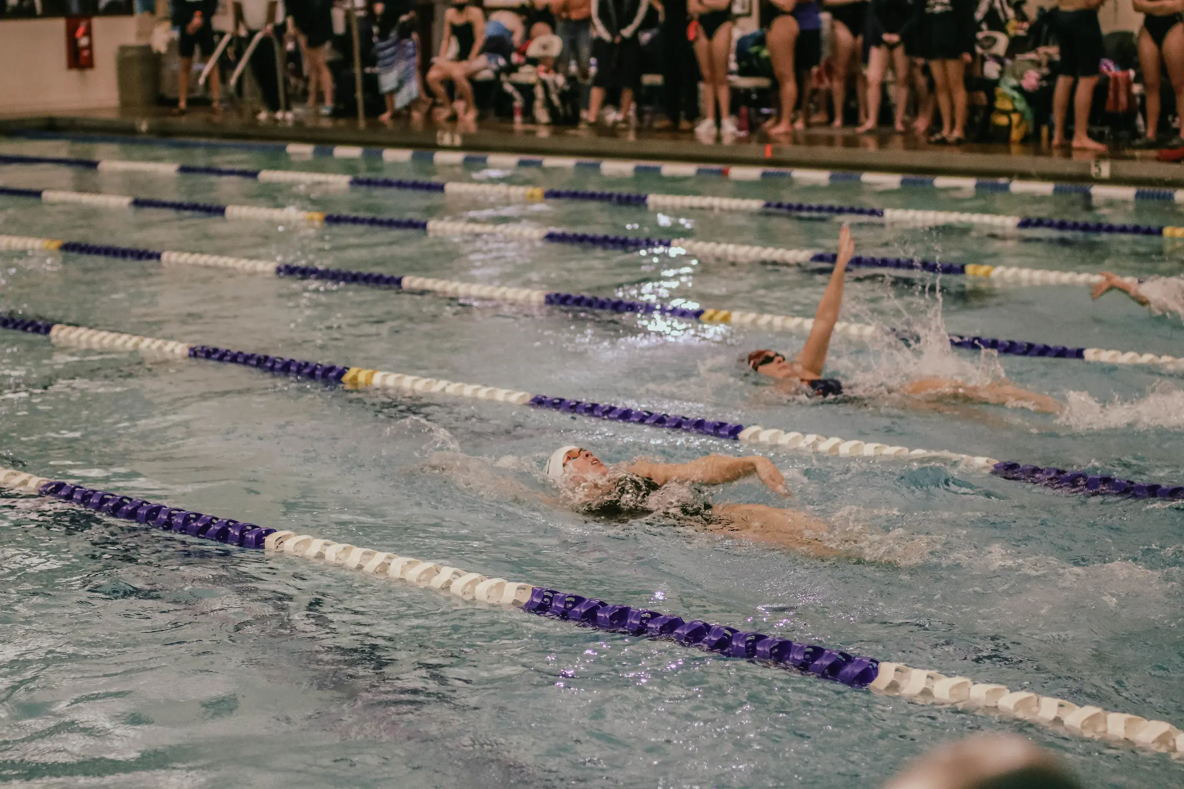 LVC swimmers do backstroke in pool