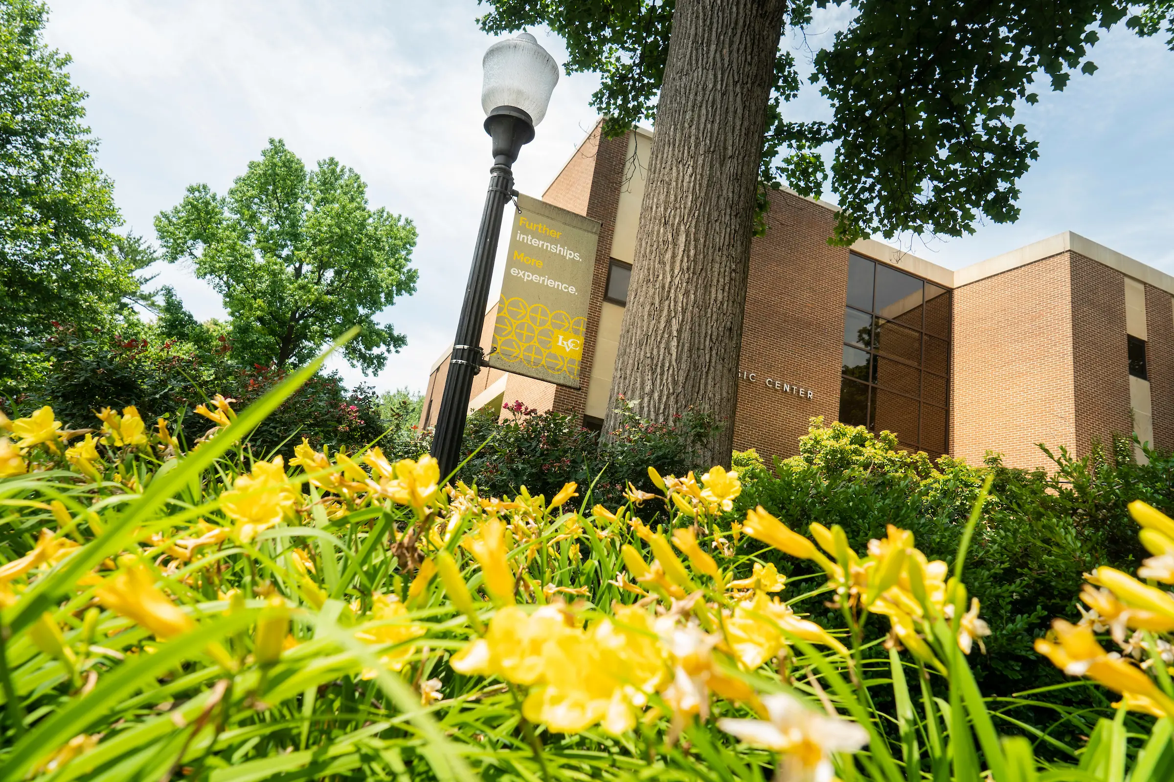 Flowers and sign on campus in summer