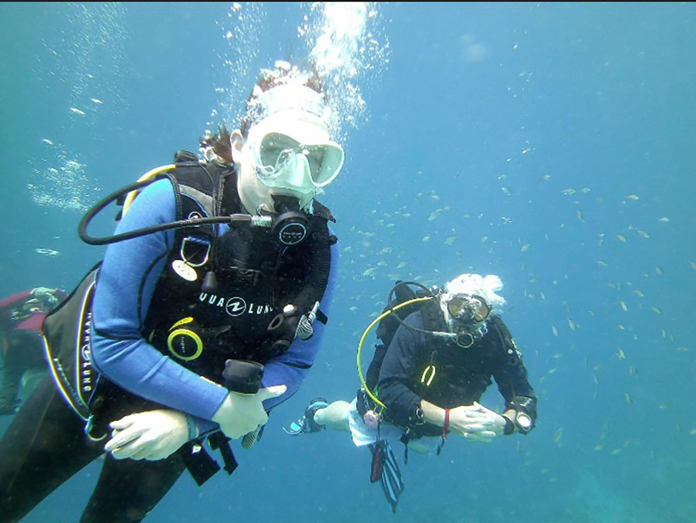 Environmental science alumna Claire Leedy as an environmental diver