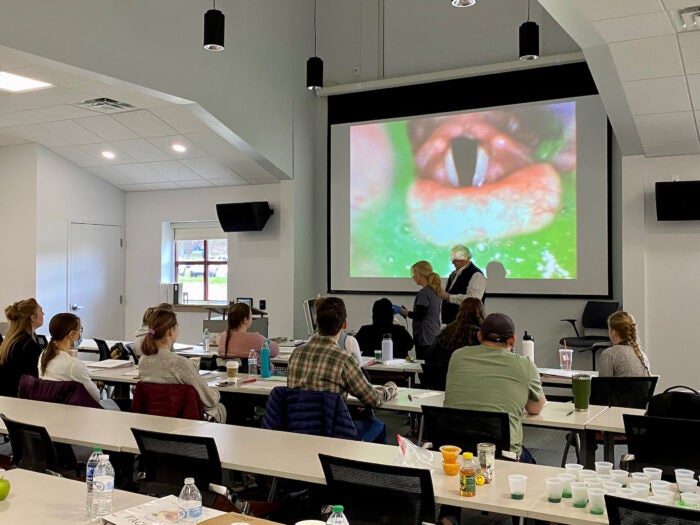 SpeechLanguage Pathology Summer Camp Lebanon Valley College