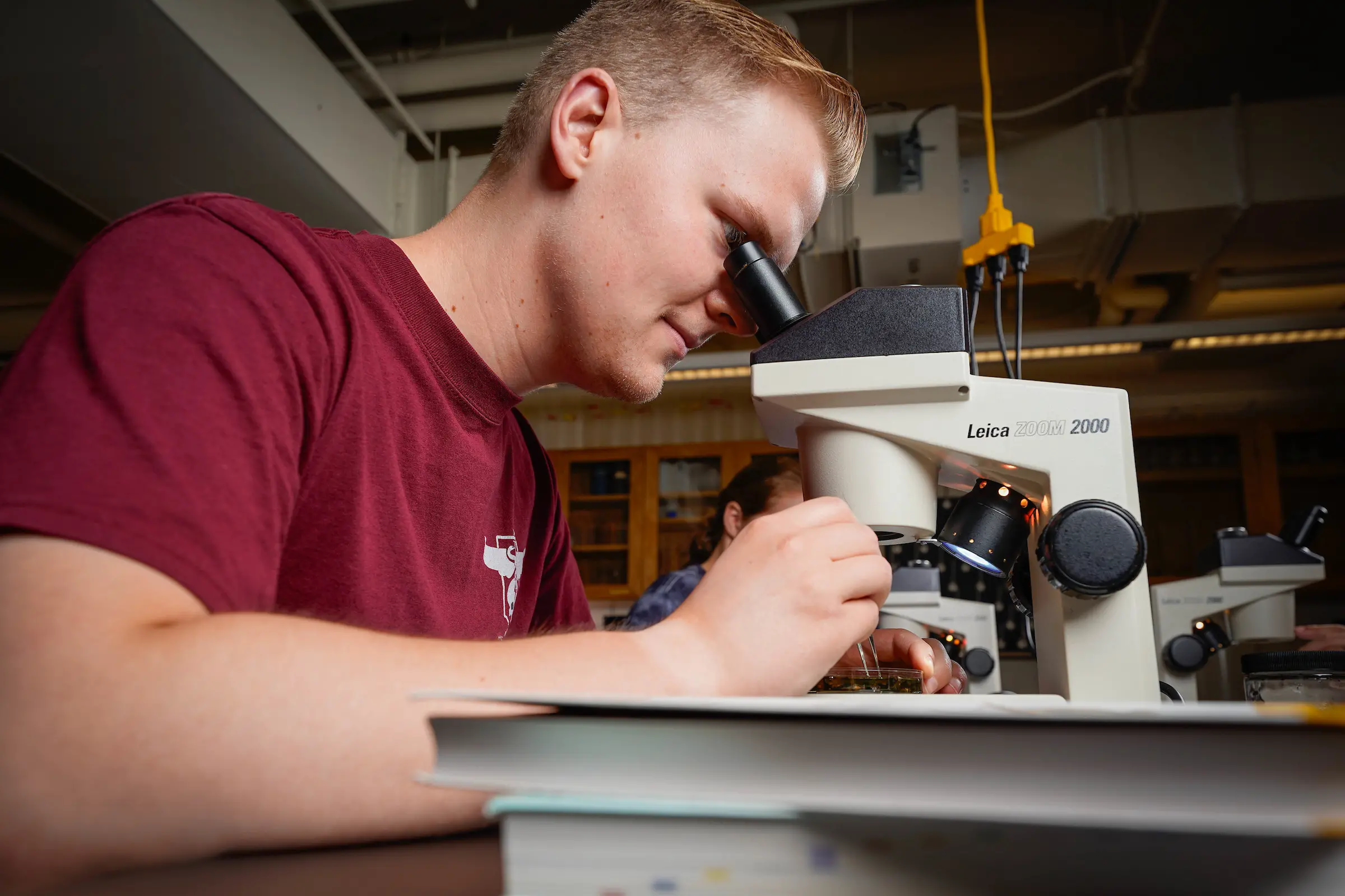 Science majors conduct summer research with faculty in the lab.