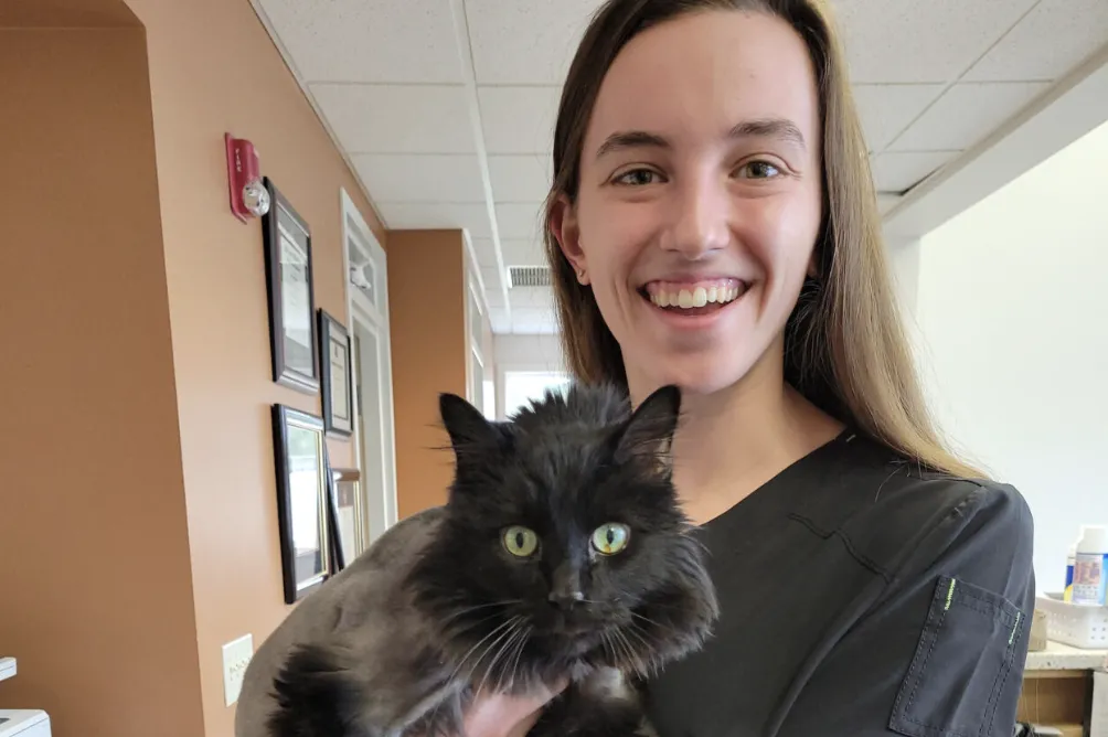 Woman holds cat at veterinary clinic