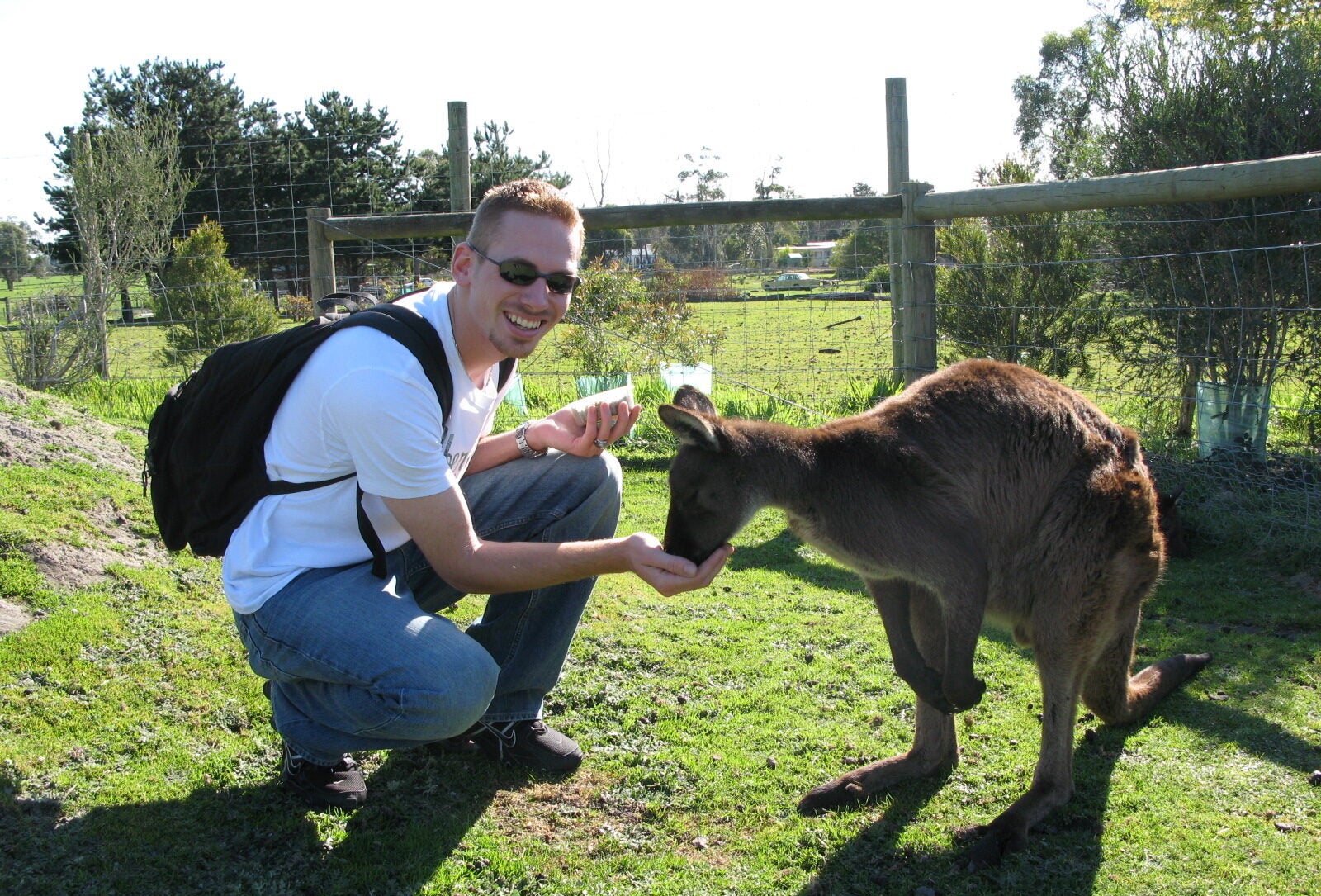 LVC student poses with kangaroo in Australia