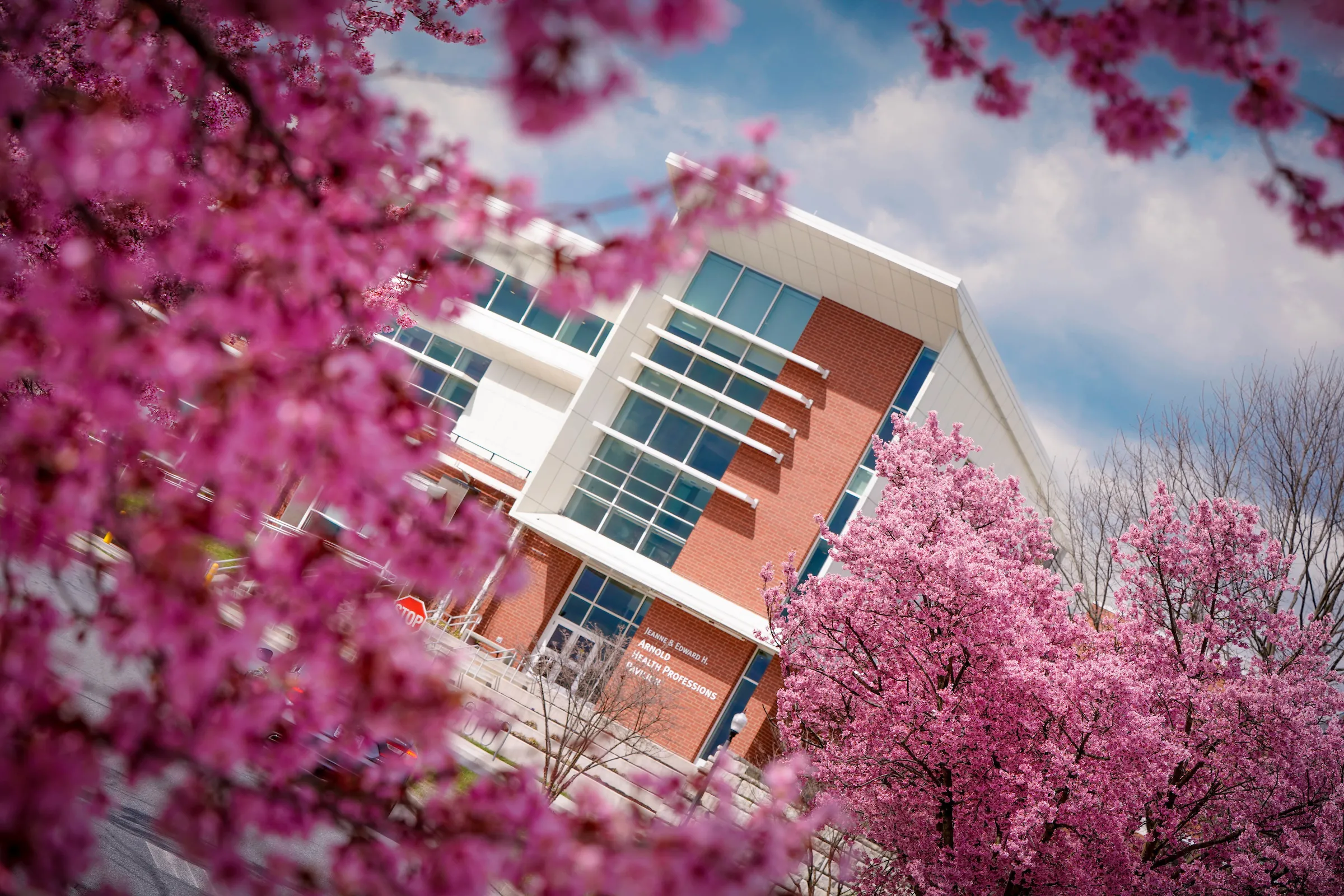 Arnold Health Professions Pavilion exterior behind blooming spring trees