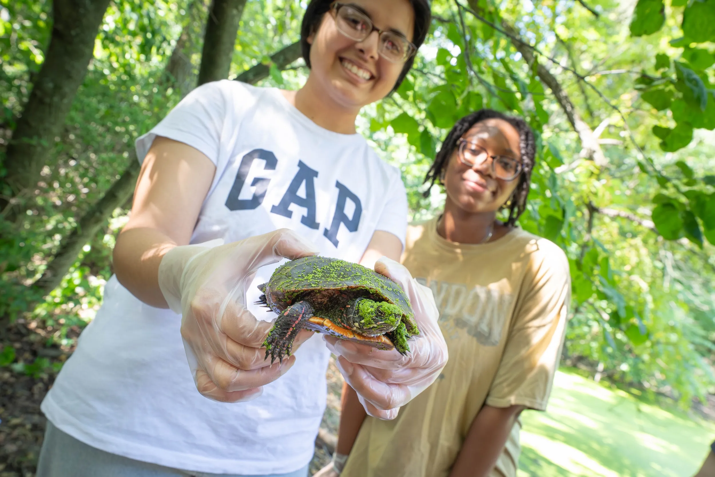 LVC students study turtles in Kreiderheim Pond
