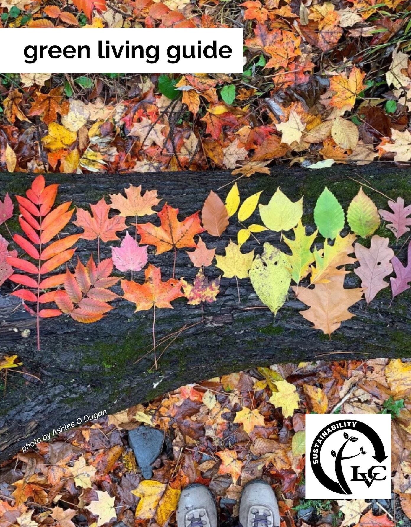LVC Green Living Guide cover with photo of leaves on log