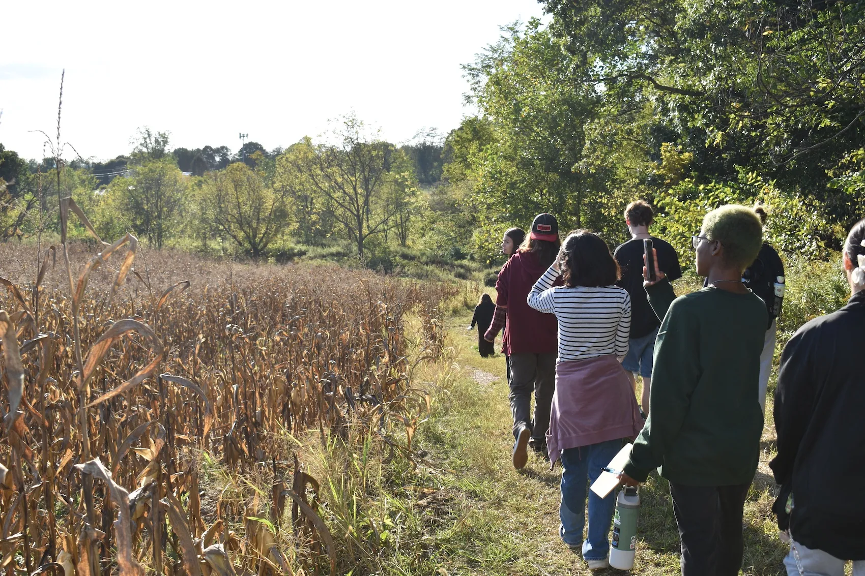 Students walk through Wood Thrush Research Preserve