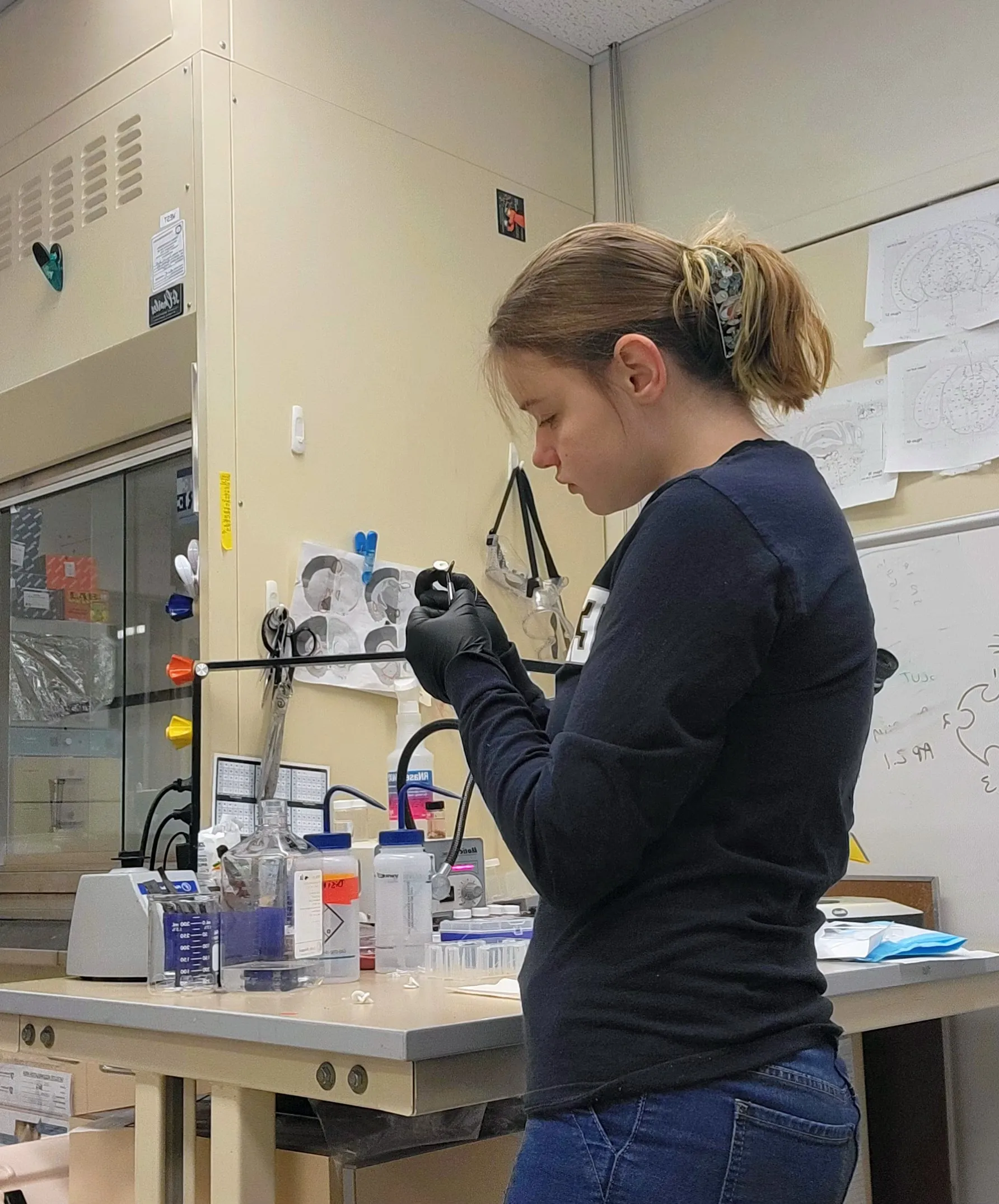 Kyrsten Derr works in lab